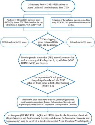 Identification of hub genes and pathophysiological mechanism related to acute unilateral vestibulopathy by integrated bioinformatics analysis